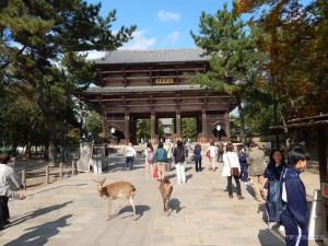 Todaiji hram, glavni ulaz