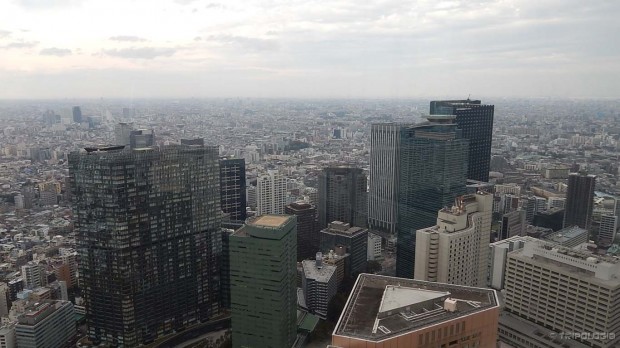 Tokyo Metropolitan Government Building, pogled na grad sa vrha Tokyo Metropolitan Government Building, pogled na grad sa vrha