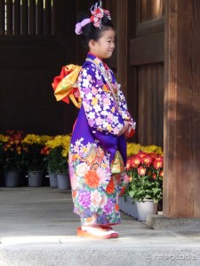Mala manekenka u tradicionalnoj nošnji na Shinto vjenčanju, Meiji Jingu hram Mala manekenka u tradicionalnoj nošnji na Shinto vjenčanju, Meiji Jingu hram
