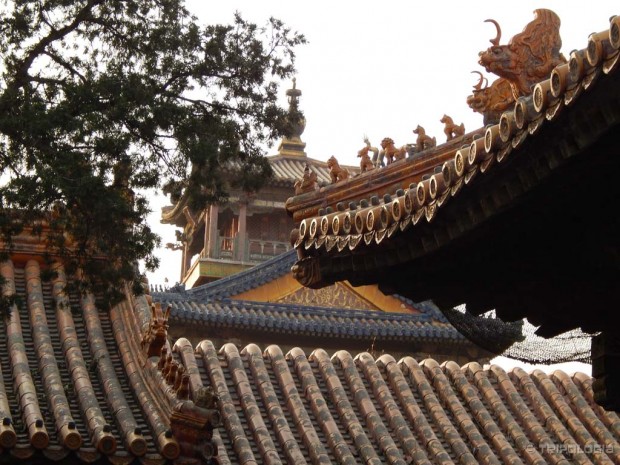 Prelijepi krovovi Zabranjenog grada