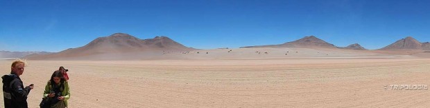 Desierto de Dali