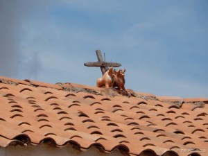 Bikovi se postavljaju na krovove da čuvaju dom