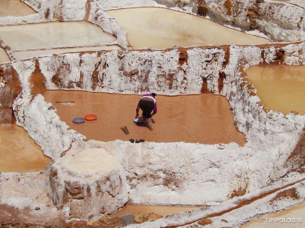 Skupljanje soli je u tijeku