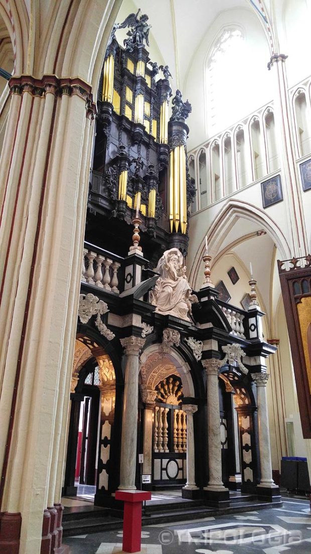 Orgulje katedrale