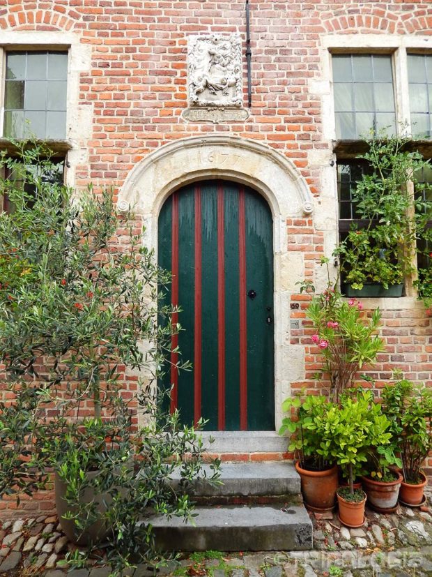 ...ili su obrasla u cvijeće