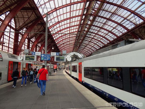 Vijadukt koji natkriva prostor za vlakove dug je 185 a visok 44 metra