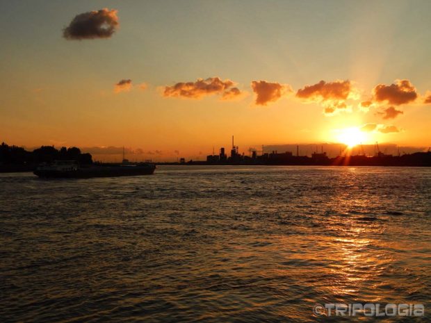 Zalazak sunca iznad rijeke Scheldt