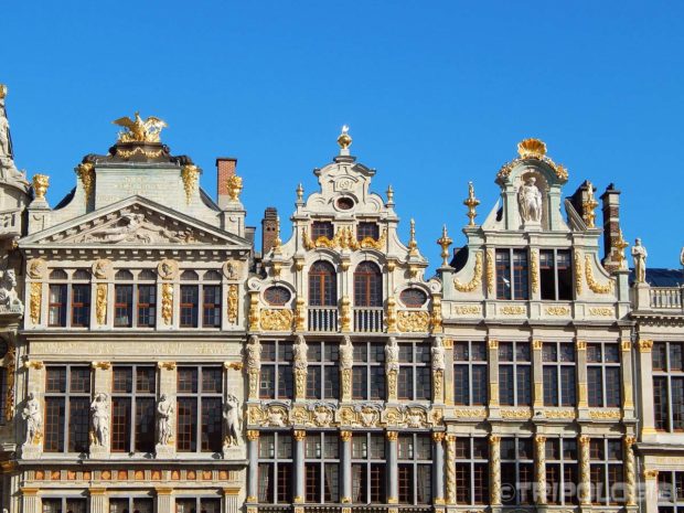 Bogato ukrašene plemićke kuće Guildhalls