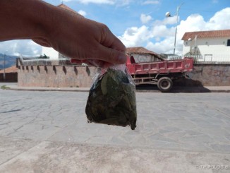 Koka se pakira vrlo jednostavno i nosi posvuda