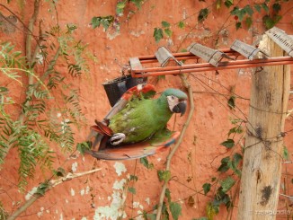 Urubamba - vesela ekipa