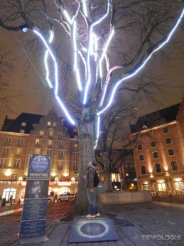 Moja želja putuje u nebo s Grasmarkta